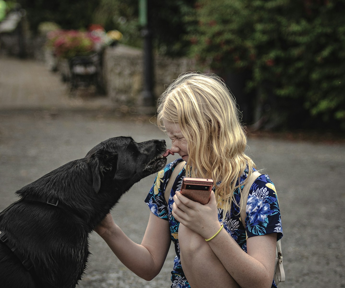 Why Dog Licks Me All the Time A woman sitting on the ground with a dog and a cell phone