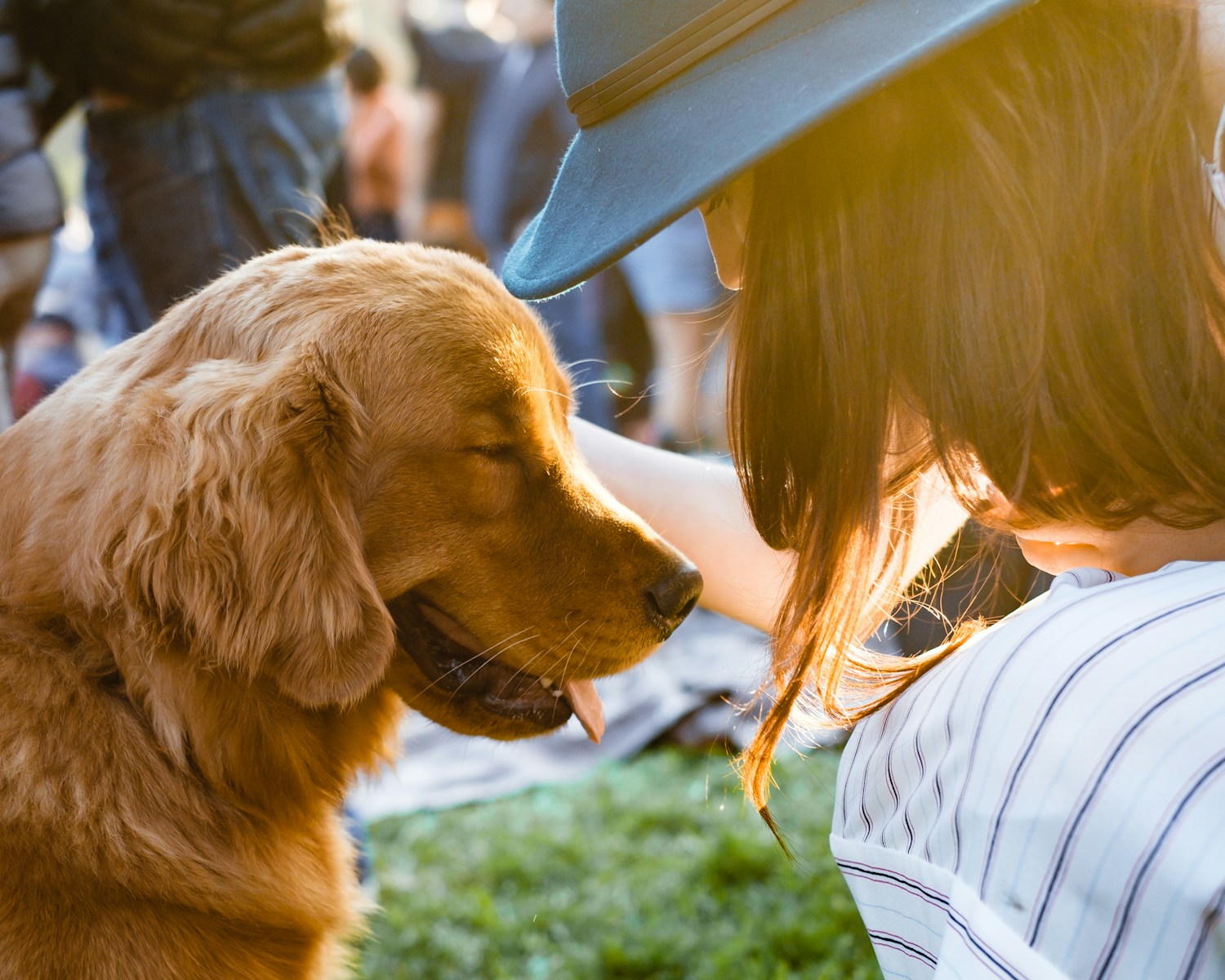Are Dog Licks Kisses or Just Instinct? Let’s Find Out